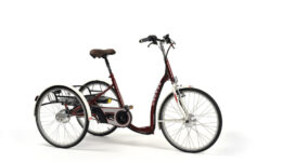 E-bike - 2219 Lagoon bordeaux