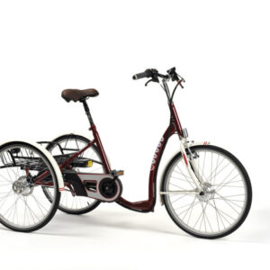E-bike - 2219 Lagoon bordeaux